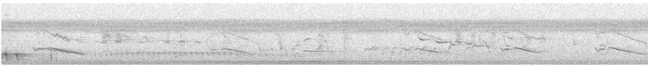 White-eared Monarch - ML643455902