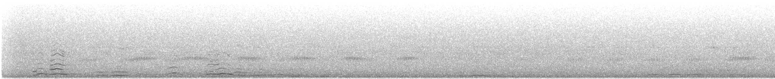 dvergsvane/sangsvane - ML643457468