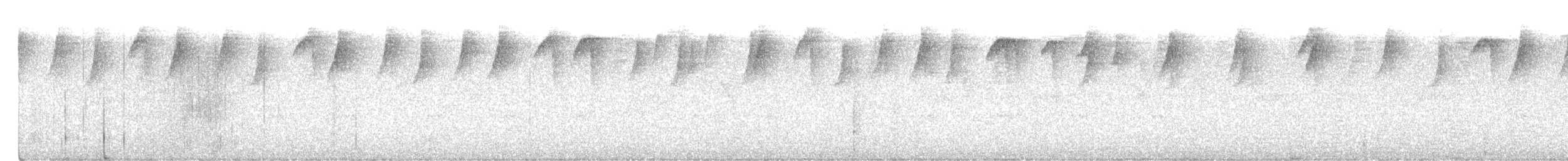 Gray-chinned Hermit - ML643458024