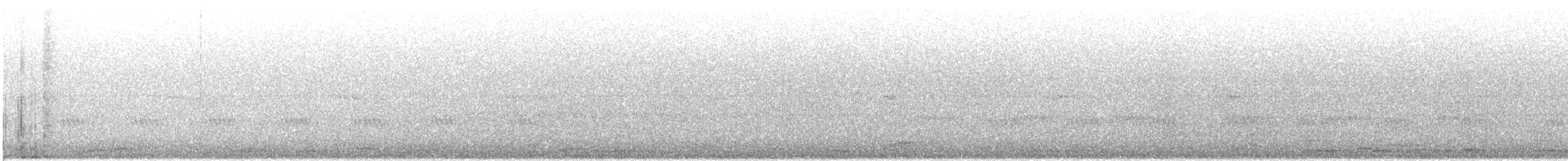 dvergsvane/sangsvane - ML643458416