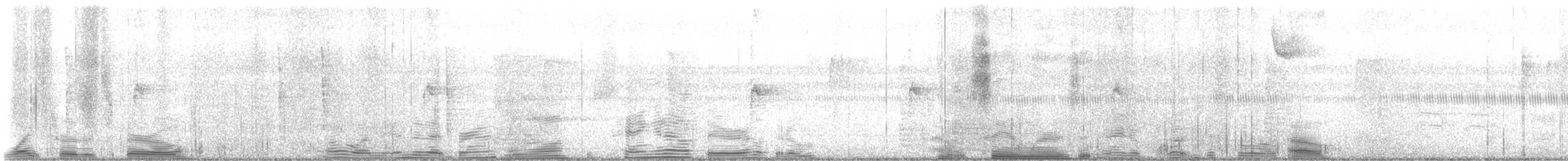 Brown Thrasher - ML643459021