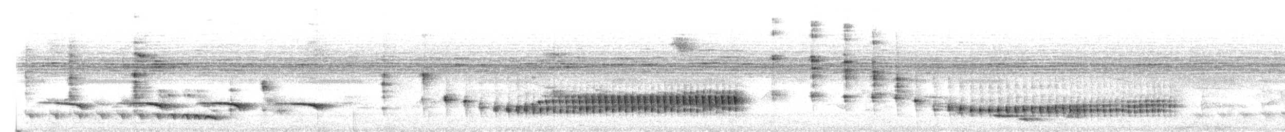 Long-billed Gnatwren - ML643459591