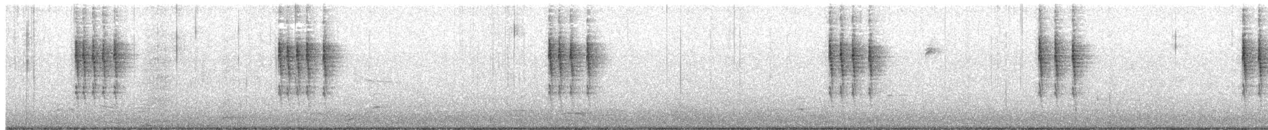 Pacific Wren - ML643459696