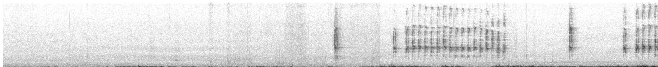 Ladder-backed Woodpecker - ML643459778