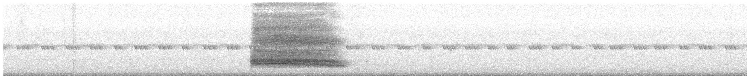 sova americká - ML643459827