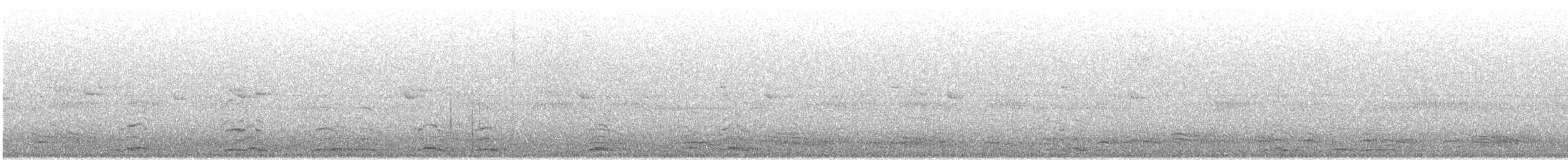 dvergsvane/sangsvane - ML643459903