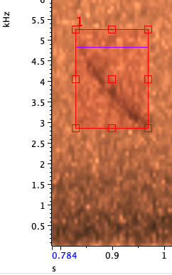 Bicknell's Thrush - ML643461398