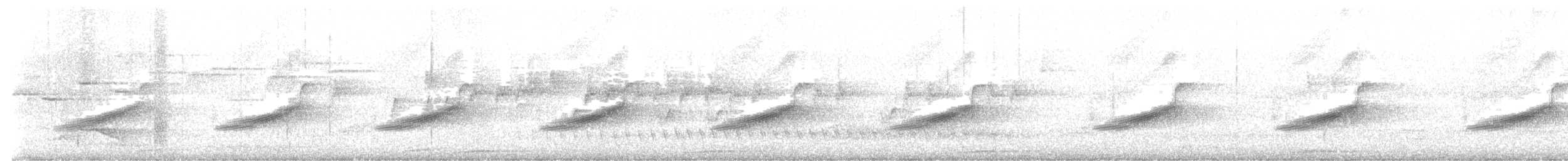 オーストラリアメンガタカササギビタキ - ML643461749