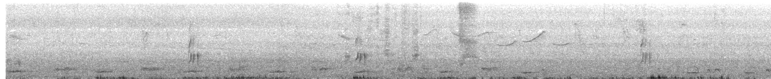 Gray-cowled Wood-Rail - ML643462111