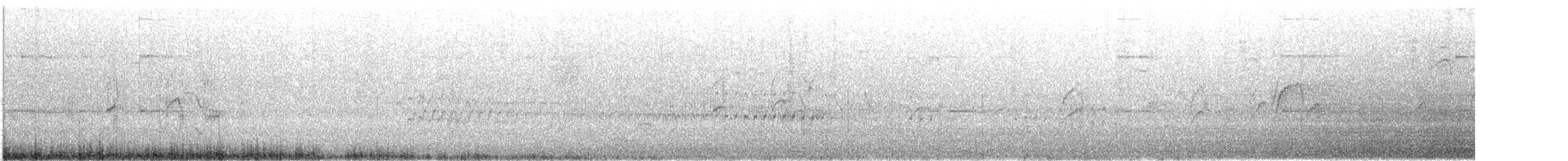 dvergdykker - ML643462249
