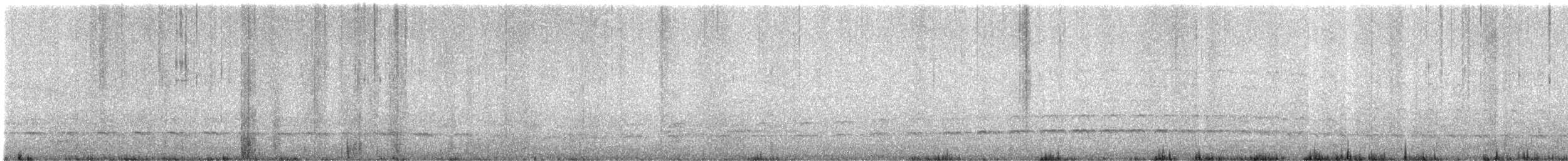 Oedicnème du Pérou - ML643463411