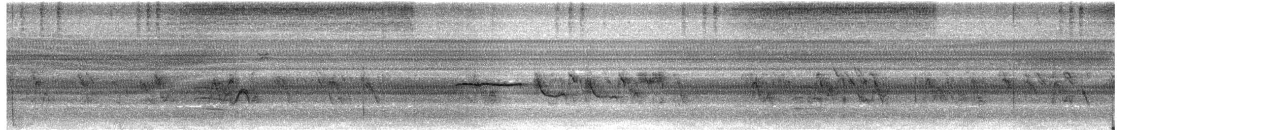 hvitstrupespurv - ML643464253