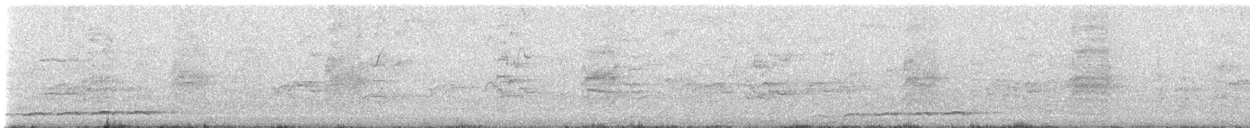 grånebbkoel (cyanocephalus/subcyanocephalus) - ML643464633