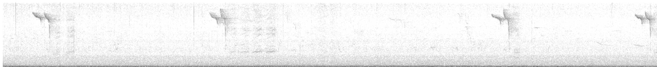 Herrerillo Bicolor - ML643465323