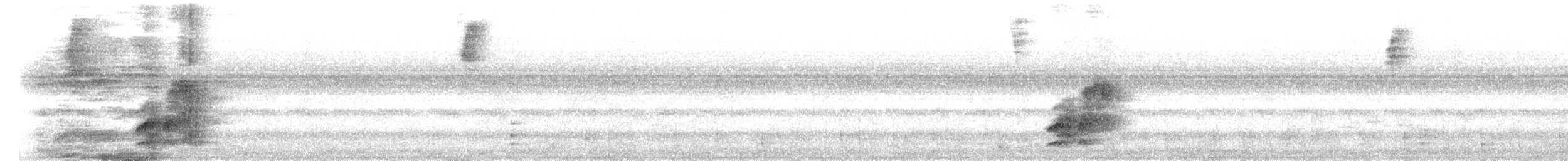 Tatama Tapaculo - ML643465911