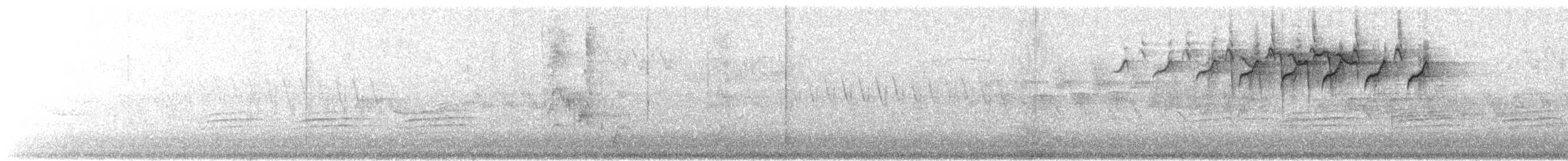 Black-and-white Warbler - ML643466719