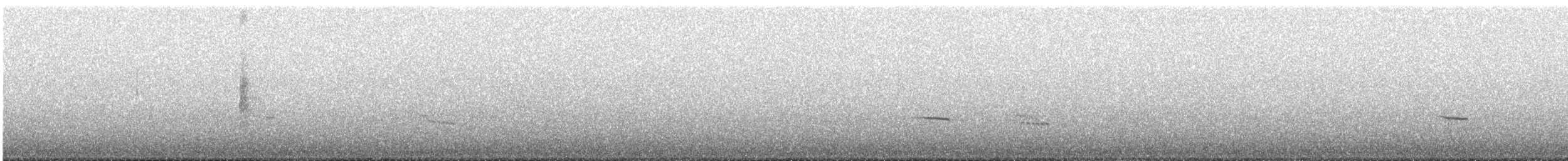 Austral Thrush - ML643467364