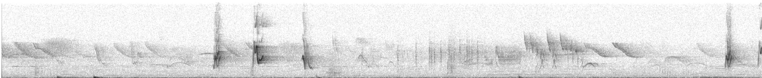 Diuca Finch - ML643468942