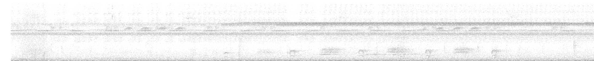 Grisin ardoisé - ML643471468