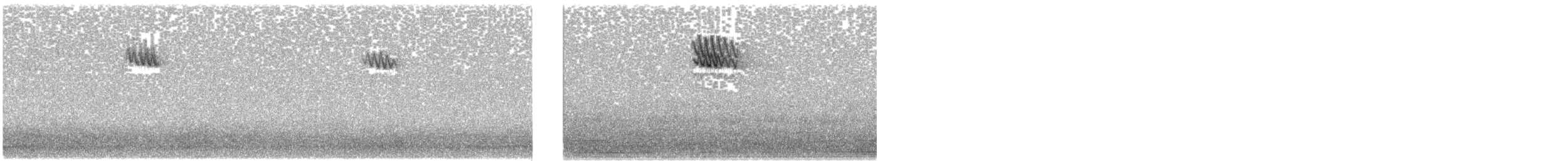 Eurasian Blackbird - ML643472379