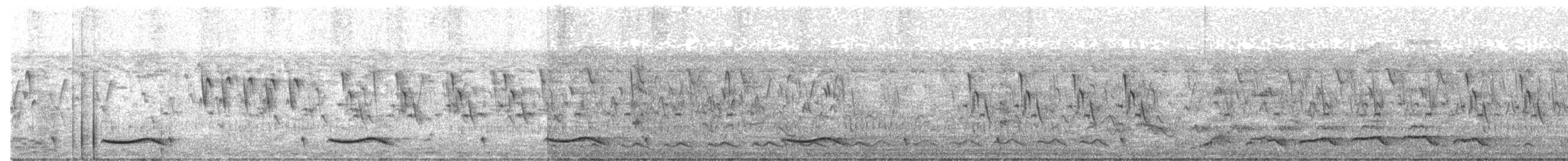 オニカッコウ - ML643473507