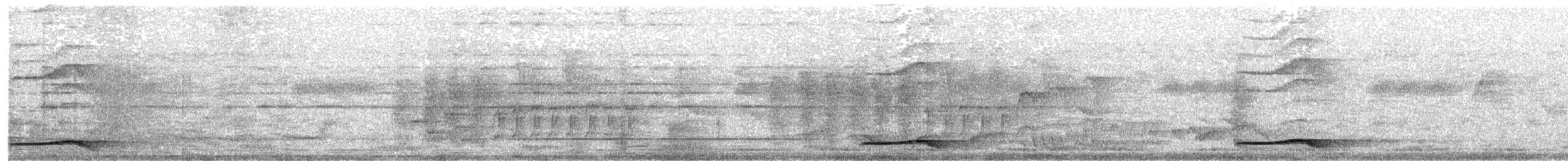 オニカッコウ - ML643473748