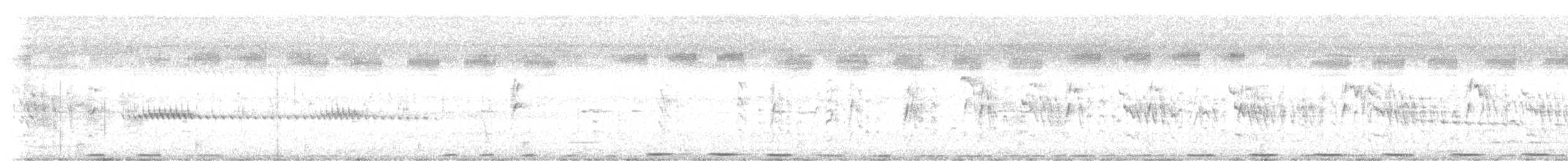 Greater Coucal - ML643474847