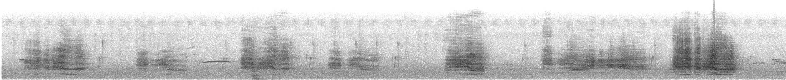 Sterne caspienne - ML643475032