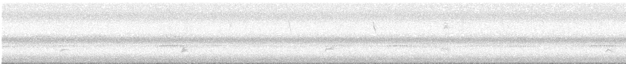 Swainson's Thrush - ML643475588