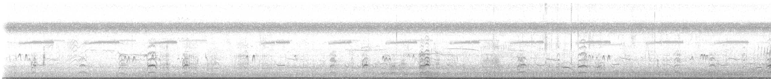 Black-necked Stilt - ML643475852