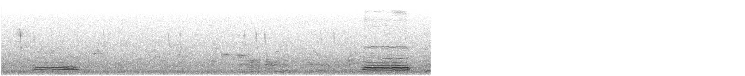 silkehegre (garzetta) - ML643476384