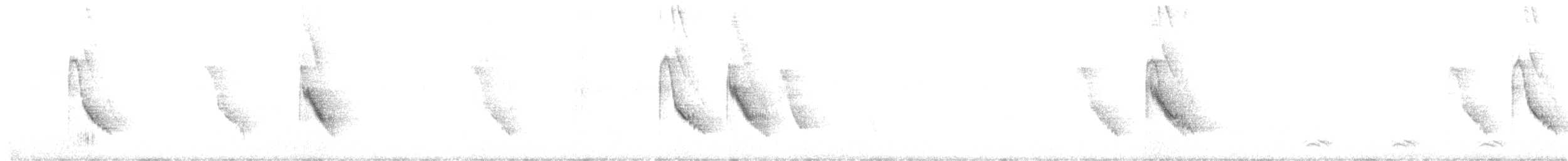 White-browed Laughingthrush - ML643476548