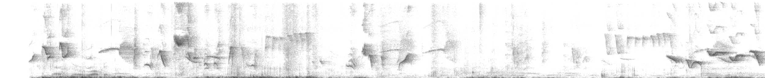 Oriental Magpie-Robin - ML643476656