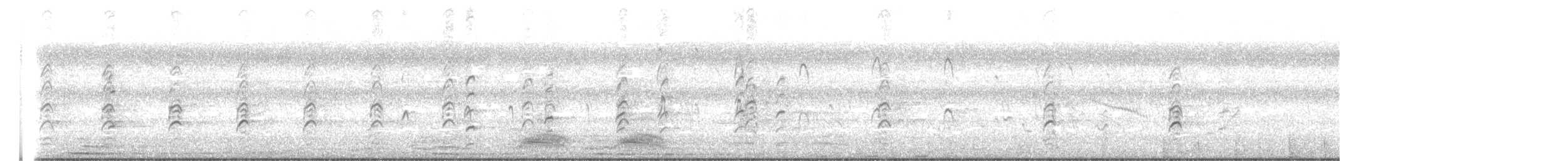 Black-winged Stilt - ML643477177