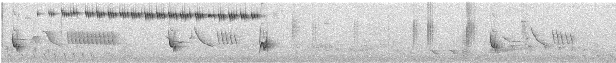 Gilded Hummingbird - ML643477383