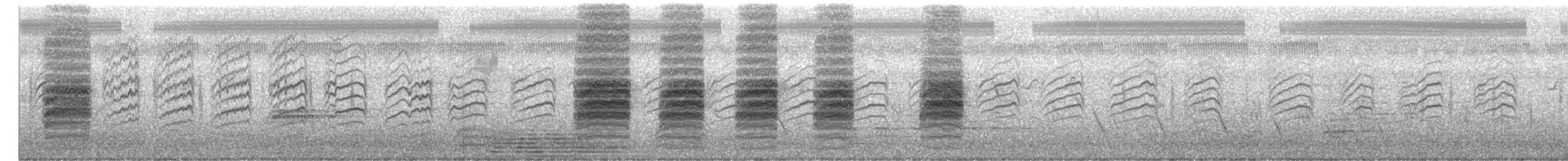 Длиннохвостый сорокопут - ML643477391