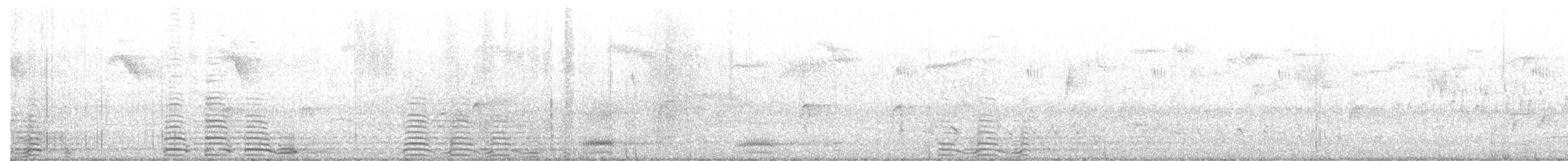 Trumpeter Swan - ML643477510