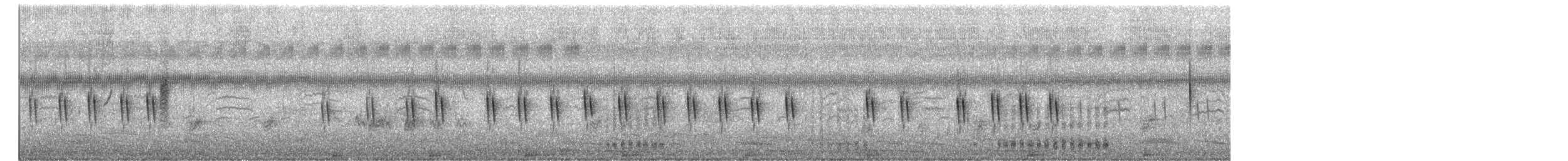 Prinia sp. - ML643477605