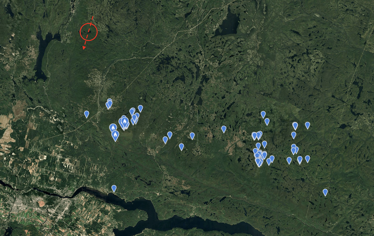Bicknell's Thrush - ML643479169