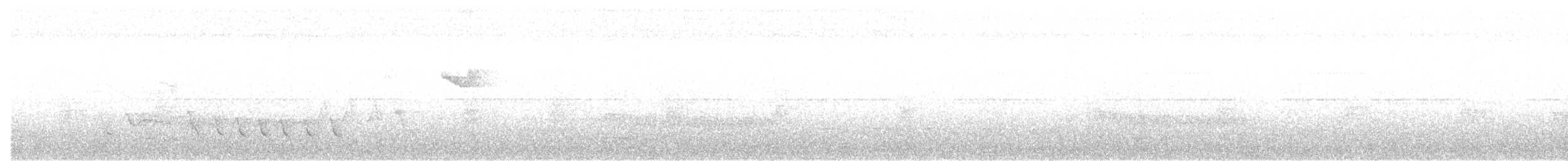 White-winged Becard - ML643479455