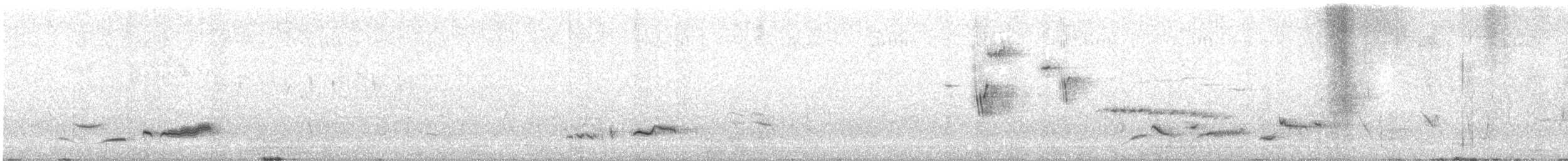 コシアカヒバリモドキ - ML643480536