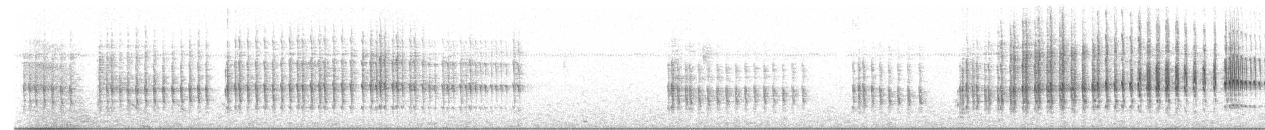 Belted Kingfisher - ML643480995