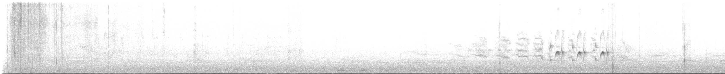 Des Murs's Wiretail - ML643481445