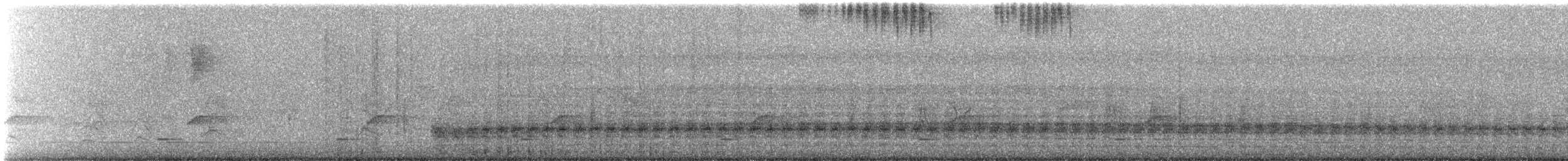 Puerto Rican Lizard-Cuckoo - ML643483149