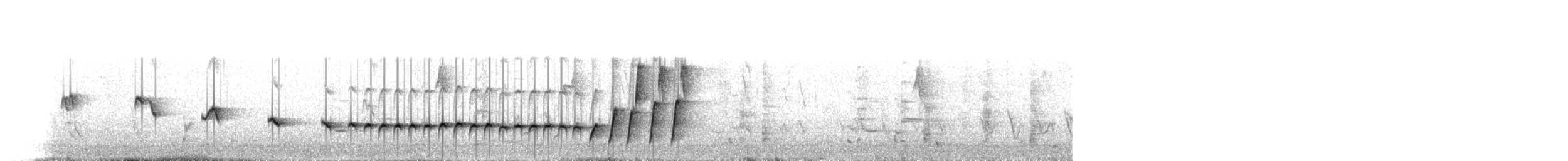 Noisy Scrub-bird - ML643485008
