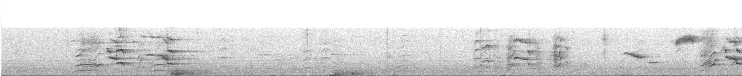 Cacatoès de Baudin - ML643485105