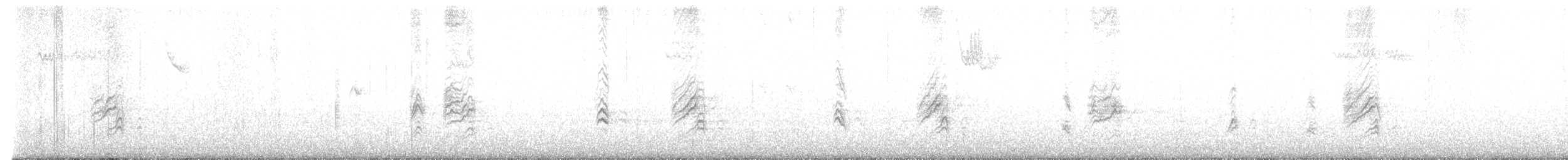 House Finch - ML643486065