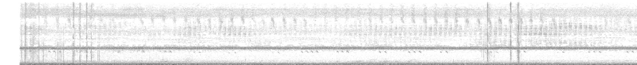 Lechuza Patilarga - ML643486622