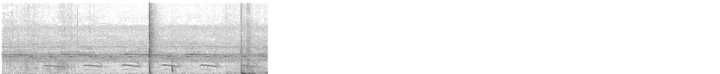 White-shouldered Antshrike - ML643486681