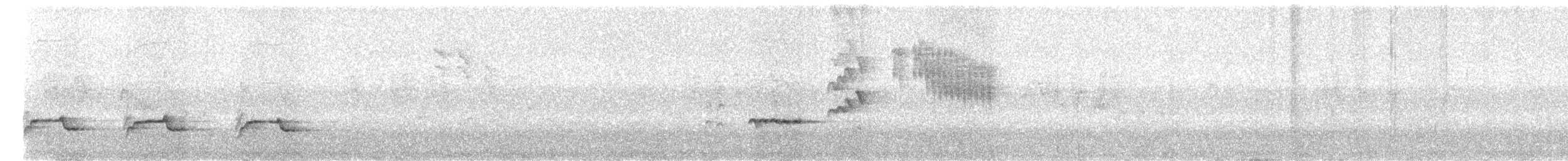 Birigarro arrunta - ML643486786